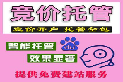 竞价端口开户必备知识，案例详解