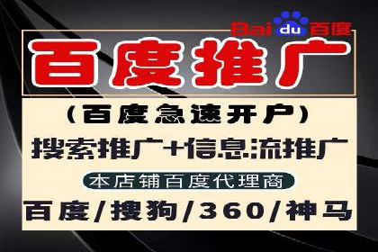 SEM推广代运营：成功案例解析与策略分享